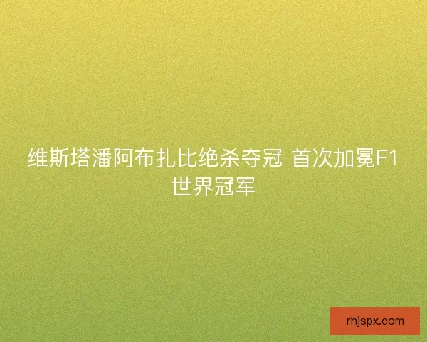 维斯塔潘阿布扎比绝杀夺冠 首次加冕F1世界冠军